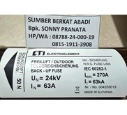 FUSE ETI 004255013 63 A 63A 24kV 63kA 50N 67240.0630 3001413.63 - ASLI
