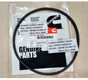 CUMMINS 3011076 SEAL 207524 CYLINDER LINER 205181