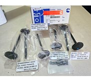 CUMMINS 3802355 3802005 INTAKE VALVE KIT ENGINE 4BT 6BT - ISI 6 BATANG