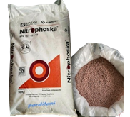 Pupuk NPK Basf Nitrophoska 15-15-15 Kemasan 50kg