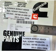 CUMMINS 3909356 RECTANGULAR SEAL O-RING