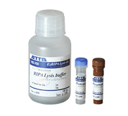 WSE-7420 EzRIPA Lysis kit 