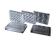 Nest 384 Well Cell Culture Plate, Clear, Flat bottom, TC, Sterile, 1/p