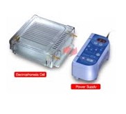 Electrophoresis Cell 