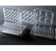 Nest 96 Well Low Evap EDGE Plate, Flat Bottom, TC, Sterile, 1/pk, 100/