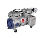 Vacuum Pump Wiggens