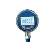 Digital Pressure Gauge