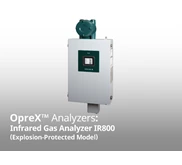 Explosion-Protected Model Infrared Gas Analyzer IR810S