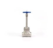 DJ-50(G)-Cryogenic Valve Globe Valves