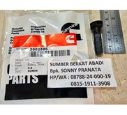 CUMMINS 3002886 CAM FOLLOWER SHAFT SCREW