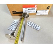 CUMMINS 3942589 EXHAUST VALVE 3800341 - 8.3C ISC QSC 
