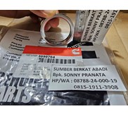 CUMMINS 3090704 INSERT VALVE 3090703 - M11 ISM QSM
