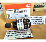 CUMMINS 3637209 RESTRICTION INDICATOR LIMITATION - GENUINE