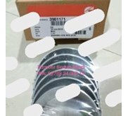 CUMMINS 3901171 LOWER BEARING 4932375 CONN ROD 3901231 - OVERSIZED
