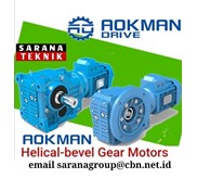 AOKMAN Helical-bevel Gear Motors
