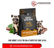 Biji Kopi Arabica Luwak Beans