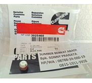 CUMMINS 3025460 PLUG PIPE - KTA 19