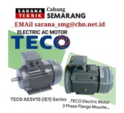 Teco Electric Ac Motor
