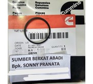CUMMINS 216187 SEAL O RING - K19 K50 KTA50 KTA38