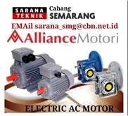 Alliance Electric Motor