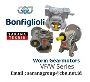 Worm Gear Motors VF/W Series