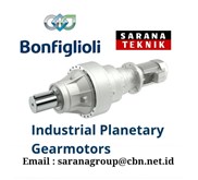 Industrial Planetary Gearmotors
