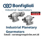 INDUSTRIAL PLANETARY GEAR MOTORS