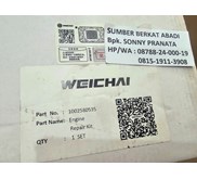 WEICHAI 1002580535 GASKET KITS SEAL PACKING SET LOADER ENGINE REPAIR 