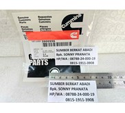 CUMMINS 3900956 EXPANSION PLUG - ISF2.8 5.9L 6.7L