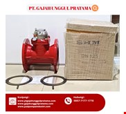 SHM MULTI FUNCTION SEWAGE FLOWMETER PULSE DN 125