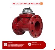 SHM MULTI FUNCTION SEWAGE FLOWMETER PULSE DN 80