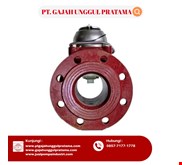 SHM MULTI FUNCTION SEWAGE FLOWMETER PULSE DN 100