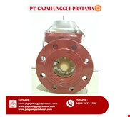 DN 65 SHM MULTI FUNCTION SEWAGE FLOWMETER HOT PULSE 