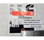 CUMMINS 3900808 SEAL INJECTOR