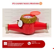 MULTI JET BRASS FLOWMETER HOT SHM DN 25