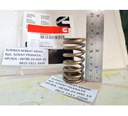 CUMMINS 3906412 INTAKE VALVE SPRING 3991085