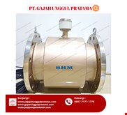 SHM Separated Electromagnetic Flowmeter DN 250