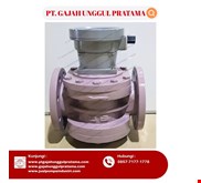 SHM ROOTS ANALOG FLOWMETER DN80 (3 INCH)