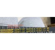 CONTITECH CONTI-SF AVX10 X 1025 LA RIBBED BELT AVX10X1025LA V-BELT AV 
