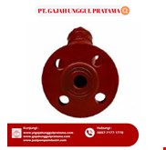 Y Strainer SHM Size 3 Inch (DN 80) & 4 Inch (DN 100)