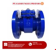 Bulkstrain Strainer SHM Size 3 Inch DN 80