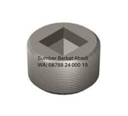 CUMMINS 217631 PIPE PLUG - KTA19 KTA38 QSK19 NTA855