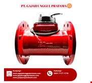 WOLTMAN FLOWMETER HOT PULSE SHM 6 INCH DN 150 