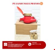 Multi Jet brass Flowmeter Hot SHM 1/2 Inch DN 15