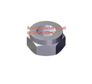 CUMMINS 3002126 LOCK NUT OIL COOLER - K19 K38 K50 QSK19 GTA38 KTA38GC