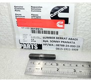 CUMMINS 3010915 3006289 107709 100992 - NT855 N14 K19