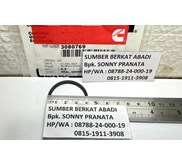 CUMMINS 3080769 RECTANGULAR RING SEAL