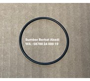 CUMMINS 3867481 SEAL O-RING 4087912 - ISX QSX ENGINE