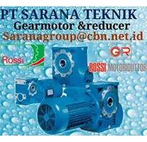 Gear Reducer Motor
