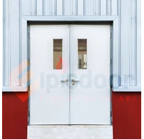 Double Steel Glass Door